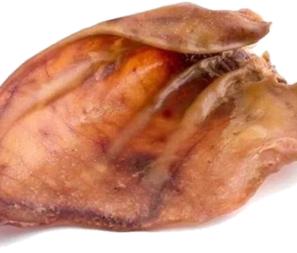 Ucho wieprzowe